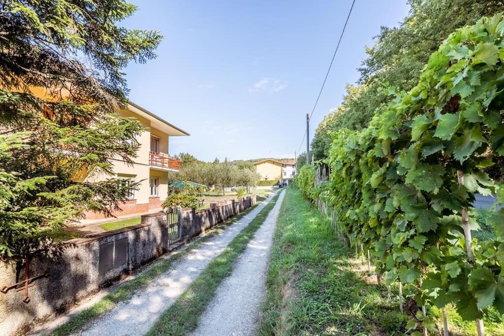 Appartamento Poggio Del Sole ลุคคา ภายนอก รูปภาพ